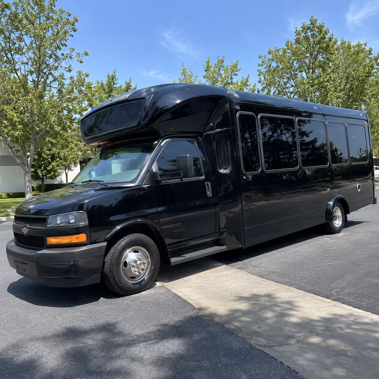 mankato 15 passenger party bus
