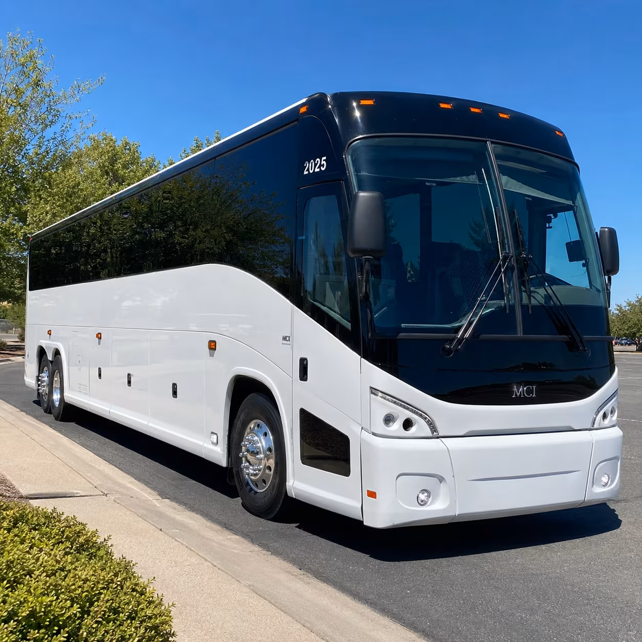 saint paul keep your saint paul wedding on schedule with a charter bus rental